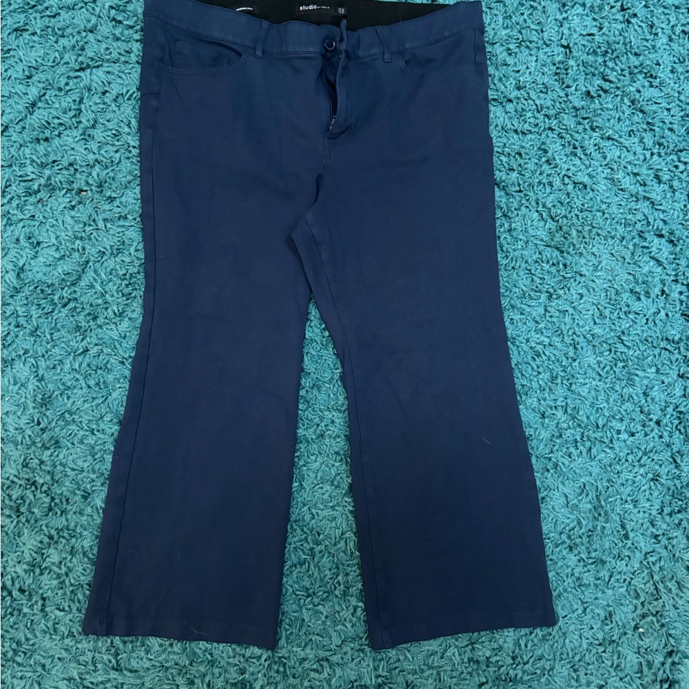 Torrid Navy Flare Jeans